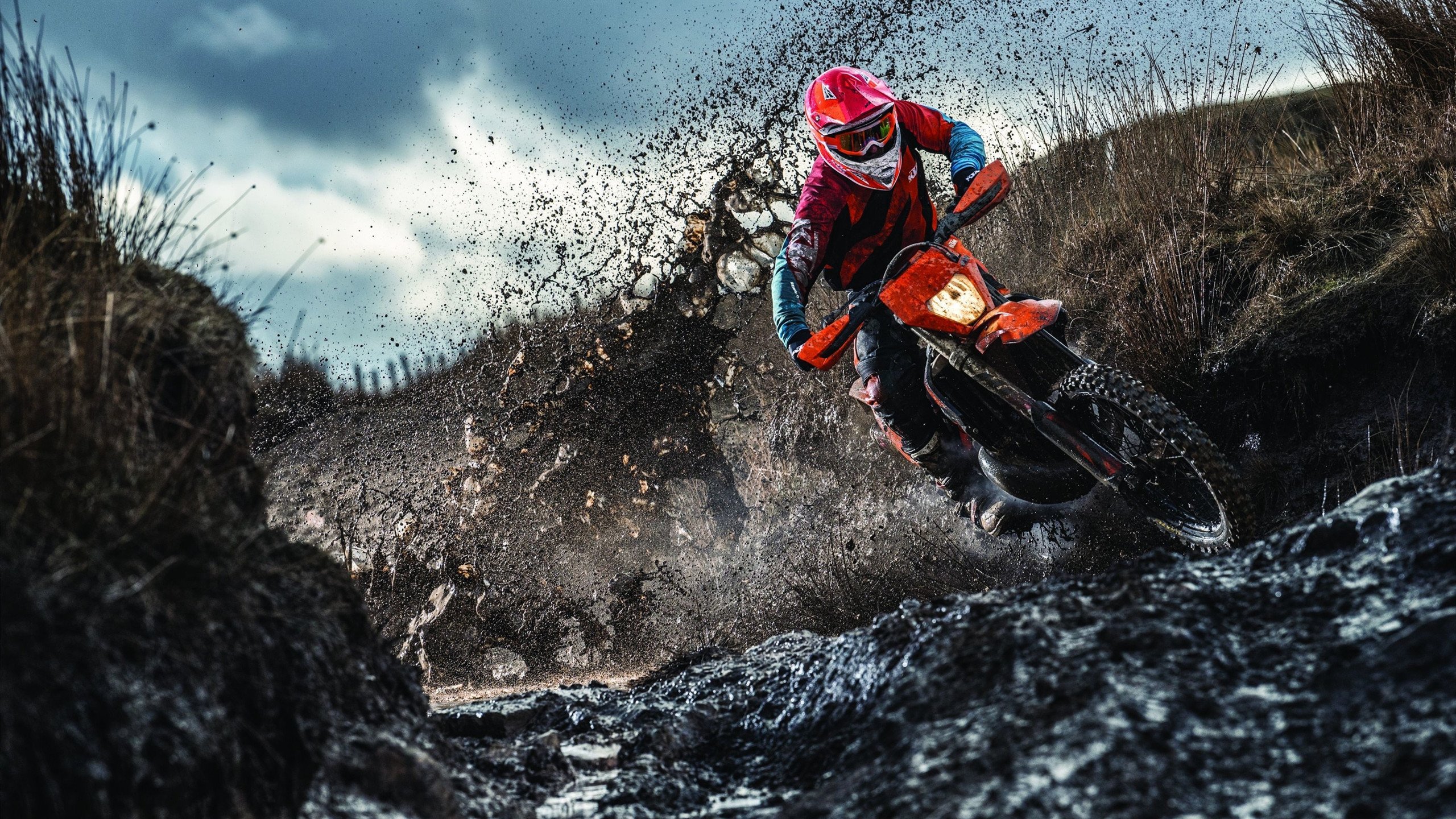 凯尔特人举行球队传统日回顾队史荣耀时刻，凯尔特人队史第5期